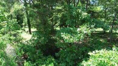 Exquisite Bay Creek building lot in the vaunted Plantation on Bay Creek Golf Club in Virginia - for sale on GolfHomes.com, golf home, golf lot