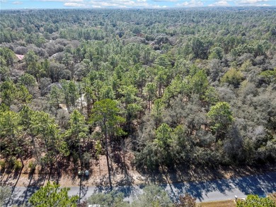 Beautiful 1.01-acre lot located in Citrus Hills, Fairview on Twisted Oaks Golf Club in Florida - for sale on GolfHomes.com, golf home, golf lot