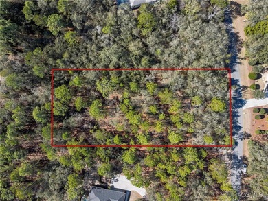 Beautiful 1.01-acre lot located in Citrus Hills, Fairview on Twisted Oaks Golf Club in Florida - for sale on GolfHomes.com, golf home, golf lot