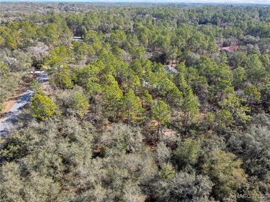 Beautiful 1.01-acre lot located in Citrus Hills, Fairview on Twisted Oaks Golf Club in Florida - for sale on GolfHomes.com, golf home, golf lot