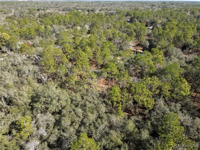 Beautiful 1.01-acre lot located in Citrus Hills, Fairview on Twisted Oaks Golf Club in Florida - for sale on GolfHomes.com, golf home, golf lot