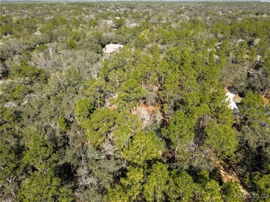 Beautiful 1.01-acre lot located in Citrus Hills, Fairview on Twisted Oaks Golf Club in Florida - for sale on GolfHomes.com, golf home, golf lot