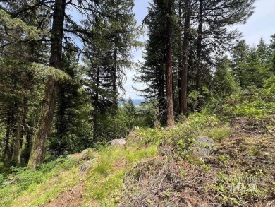 The Mountains are Calling..e explore this beautiful oasis of on Cascade Golf Course in Idaho - for sale on GolfHomes.com, golf home, golf lot