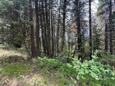 The Mountains are Calling..e explore this beautiful oasis of on Cascade Golf Course in Idaho - for sale on GolfHomes.com, golf home, golf lot