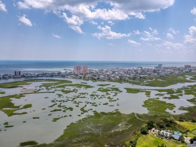 This is one of the LAST marsh-view lots available for sale E of on Tidewater Golf Club and Plantation in South Carolina - for sale on GolfHomes.com, golf home, golf lot