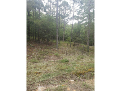 This wooded 0.52 acre lot overlooks the picturesque view of the on Diamondhead Golf and Country Club in Arkansas - for sale on GolfHomes.com, golf home, golf lot