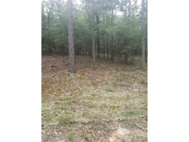 This wooded 0.52 acre lot overlooks the picturesque view of the on Diamondhead Golf and Country Club in Arkansas - for sale on GolfHomes.com, golf home, golf lot