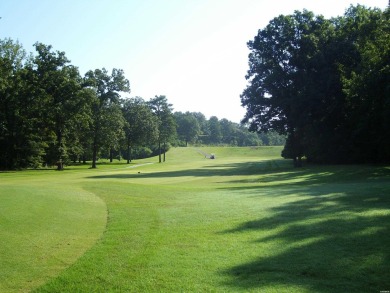 This wooded 0.52 acre lot overlooks the picturesque view of the on Diamondhead Golf and Country Club in Arkansas - for sale on GolfHomes.com, golf home, golf lot