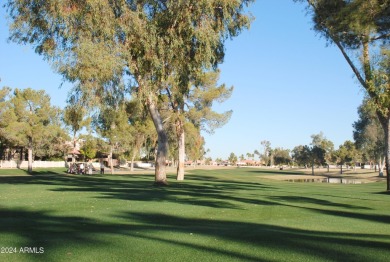 Nestled within the Palo Verde neighborhood of Sun Lakes boasts a on Palo Verde Golf and Country Club in Arizona - for sale on GolfHomes.com, golf home, golf lot