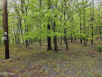 BUILD YOUR DREAM HOME AT BEAUTIFUL LAKE WALLENPAUPACK! CURRENT on Paupack Hills Golf and Country Club in Pennsylvania - for sale on GolfHomes.com, golf home, golf lot