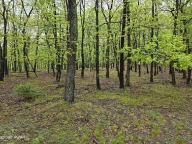 BUILD YOUR DREAM HOME AT BEAUTIFUL LAKE WALLENPAUPACK! CURRENT on Paupack Hills Golf and Country Club in Pennsylvania - for sale on GolfHomes.com, golf home, golf lot