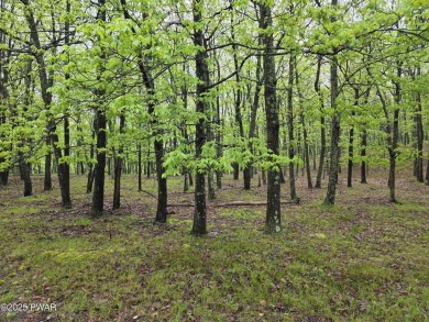 BUILD YOUR DREAM HOME AT BEAUTIFUL LAKE WALLENPAUPACK! CURRENT on Paupack Hills Golf and Country Club in Pennsylvania - for sale on GolfHomes.com, golf home, golf lot