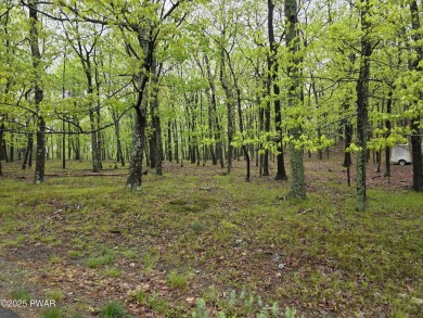 BUILD YOUR DREAM HOME AT BEAUTIFUL LAKE WALLENPAUPACK! CURRENT on Paupack Hills Golf and Country Club in Pennsylvania - for sale on GolfHomes.com, golf home, golf lot