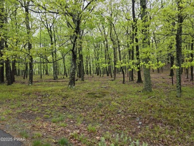 BUILD YOUR DREAM HOME AT BEAUTIFUL LAKE WALLENPAUPACK! CURRENT on Paupack Hills Golf and Country Club in Pennsylvania - for sale on GolfHomes.com, golf home, golf lot