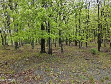 BUILD YOUR DREAM HOME AT BEAUTIFUL LAKE WALLENPAUPACK! CURRENT on Paupack Hills Golf and Country Club in Pennsylvania - for sale on GolfHomes.com, golf home, golf lot
