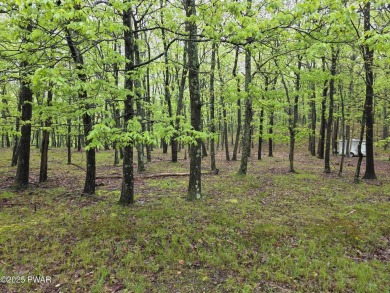 BUILD YOUR DREAM HOME AT BEAUTIFUL LAKE WALLENPAUPACK! CURRENT on Paupack Hills Golf and Country Club in Pennsylvania - for sale on GolfHomes.com, golf home, golf lot