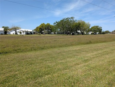 Under contract-accepting backup offers. Attention Golfers on Mainlands Golf Club in Florida - for sale on GolfHomes.com, golf home, golf lot