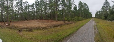 Under contract-accepting backup offers. BUILD YOUR DREAM HOME on Indian Lake Estates Golf and Country Club in Florida - for sale on GolfHomes.com, golf home, golf lot