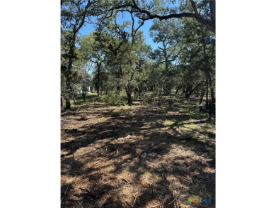 Rustic .2548 acre lot in Cypress Lake Gardens. Partially cleared on Rebecca Creek Golf Club in Texas - for sale on GolfHomes.com, golf home, golf lot