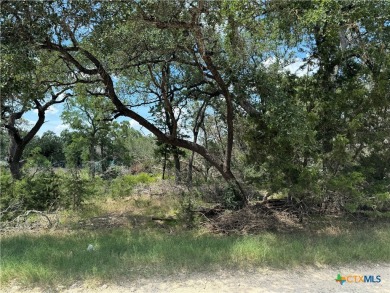 Rustic .2548 acre lot in Cypress Lake Gardens. Partially cleared on Rebecca Creek Golf Club in Texas - for sale on GolfHomes.com, golf home, golf lot