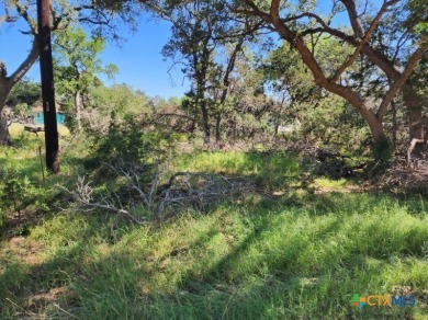 Rustic .2548 acre lot in Cypress Lake Gardens. Partially cleared on Rebecca Creek Golf Club in Texas - for sale on GolfHomes.com, golf home, golf lot