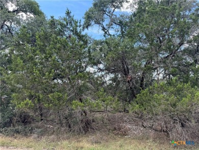 Rustic .2548 acre lot in Cypress Lake Gardens. Partially cleared on Rebecca Creek Golf Club in Texas - for sale on GolfHomes.com, golf home, golf lot