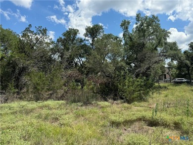 Rustic .2548 acre lot in Cypress Lake Gardens. Partially cleared on Rebecca Creek Golf Club in Texas - for sale on GolfHomes.com, golf home, golf lot