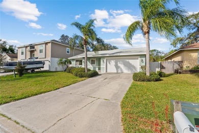 Welcome to 45 Gulfwinds Drive West, a traditional 3 bedroom, 2 on Innisbrook Resort and Golf Club in Florida - for sale on GolfHomes.com, golf home, golf lot