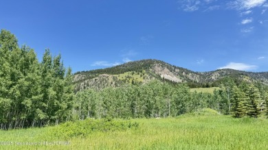 This beautiful mountain lot is just under an acre, perfectly on Star Valley RV Golf Course in Wyoming - for sale on GolfHomes.com, golf home, golf lot