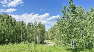 This beautiful mountain lot is just under an acre, perfectly on Star Valley RV Golf Course in Wyoming - for sale on GolfHomes.com, golf home, golf lot