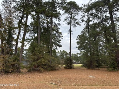 ONE OF THE MOST SCENIC LOTS IN BP! Build your dream home on this on Brunswick Plantation and Golf Resorts in North Carolina - for sale on GolfHomes.com, golf home, golf lot