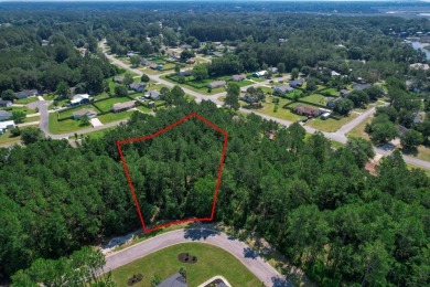 Discover an exceptional opportunity to own one of the last on The Club At Osprey Cove in Georgia - for sale on GolfHomes.com, golf home, golf lot