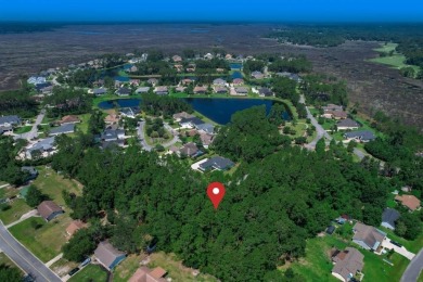 Discover an exceptional opportunity to own one of the last on The Club At Osprey Cove in Georgia - for sale on GolfHomes.com, golf home, golf lot