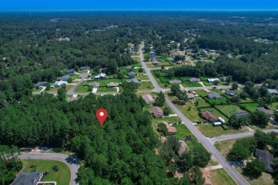 Discover an exceptional opportunity to own one of the last on The Club At Osprey Cove in Georgia - for sale on GolfHomes.com, golf home, golf lot