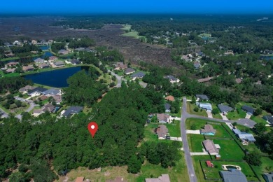 Discover an exceptional opportunity to own one of the last on The Club At Osprey Cove in Georgia - for sale on GolfHomes.com, golf home, golf lot