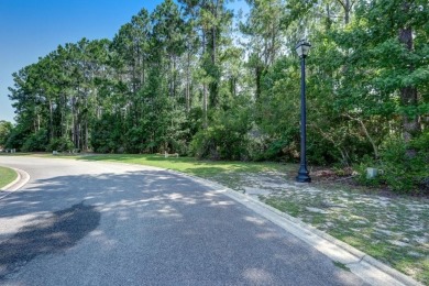 Discover an exceptional opportunity to own one of the last on The Club At Osprey Cove in Georgia - for sale on GolfHomes.com, golf home, golf lot