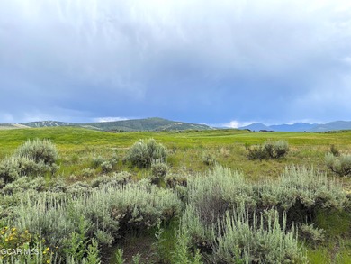 Welcome to your own slice of golfer's paradise! This is one of on Grand Elk Ranch and Club in Colorado - for sale on GolfHomes.com, golf home, golf lot