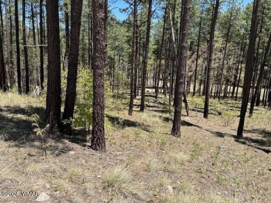 COME SEE THIS BEAUTIFULLY TIMBERED LOT WITH TALL PINES AND A on Alpine Country Club in Arizona - for sale on GolfHomes.com, golf home, golf lot