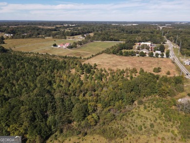 22.522 acres zoned C2 Commercial located on Highway 155 in Henry on Eagles Brooke Golf and Country Club in Georgia - for sale on GolfHomes.com, golf home, golf lot