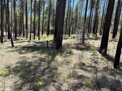 COME SEE THIS BEAUTIFULLY TIMBERED LOT WITH TALL PINES AND A on Alpine Country Club in Arizona - for sale on GolfHomes.com, golf home, golf lot