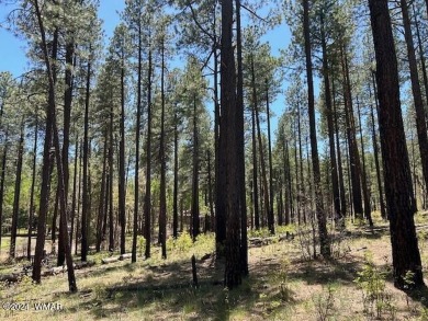 COME SEE THIS BEAUTIFULLY TIMBERED LOT WITH TALL PINES AND A on Alpine Country Club in Arizona - for sale on GolfHomes.com, golf home, golf lot