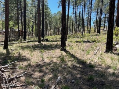 COME SEE THIS BEAUTIFULLY TIMBERED LOT WITH TALL PINES AND A on Alpine Country Club in Arizona - for sale on GolfHomes.com, golf home, golf lot