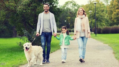 Welcome to 2219 Warbler Drive at Horton Park, located in Apex on Knights Play Golf Center in North Carolina - for sale on GolfHomes.com, golf home, golf lot