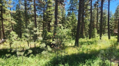 Affordable building lot in the coveted Meadow Creek Subdivision on Meadowcreek Golf Resort in Idaho - for sale on GolfHomes.com, golf home, golf lot