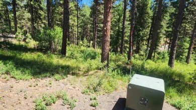 Affordable building lot in the coveted Meadow Creek Subdivision on Meadowcreek Golf Resort in Idaho - for sale on GolfHomes.com, golf home, golf lot