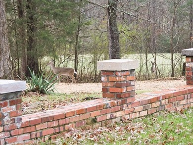 Escape to your own private oasis in the country. This exquisite on Magic Valley Golf Course in Tennessee - for sale on GolfHomes.com, golf home, golf lot