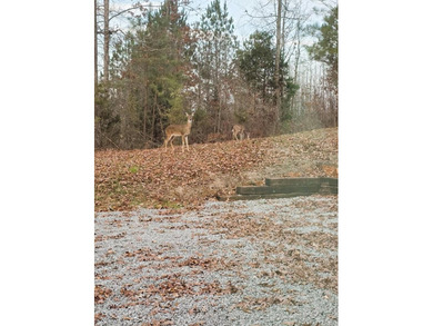 Escape to your own private oasis in the country. This exquisite on Magic Valley Golf Course in Tennessee - for sale on GolfHomes.com, golf home, golf lot