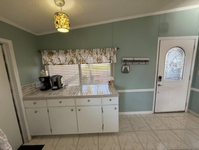 This well-cared for Palm Harbor stucco home provides beautiful on Del Tura Golf and Country Club in Florida - for sale on GolfHomes.com, golf home, golf lot