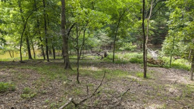 Looking for the perfect place to build near Grand Lake? This 0 on The Coves Golf Course in Oklahoma - for sale on GolfHomes.com, golf home, golf lot
