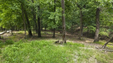 Looking for the perfect place to build near Grand Lake? This 0 on The Coves Golf Course in Oklahoma - for sale on GolfHomes.com, golf home, golf lot